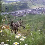 Weingut Bernd Hermes アパート Kröv