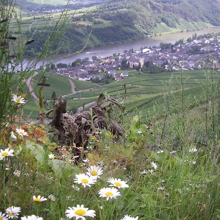 Weingut Bernd Hermes Apartman Kröv