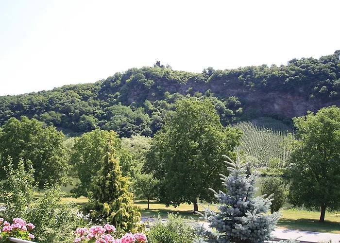 Weingut Bernd Hermes *