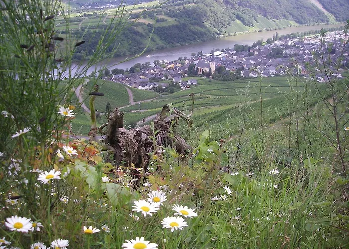 Weingut Bernd Hermes Lägenhet Kröv